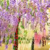 Artificial Wisteria Flowers Vine Silk Flower Wedding Garden Party Hanging Decor - Green