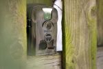 Video Camera Movement Detecting Frontyard Backyard Security Monitor - 13103acnstddba