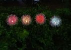 Garden LED Ball Dandelion Flower Stake Light Solar Energy Rechargeable - Transparent