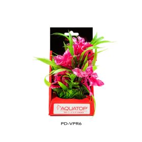 Aquatop Vibrant Passion Plant Rose, 1ea/6 in
